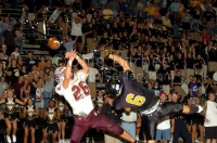 Bulldogs nip Spiders